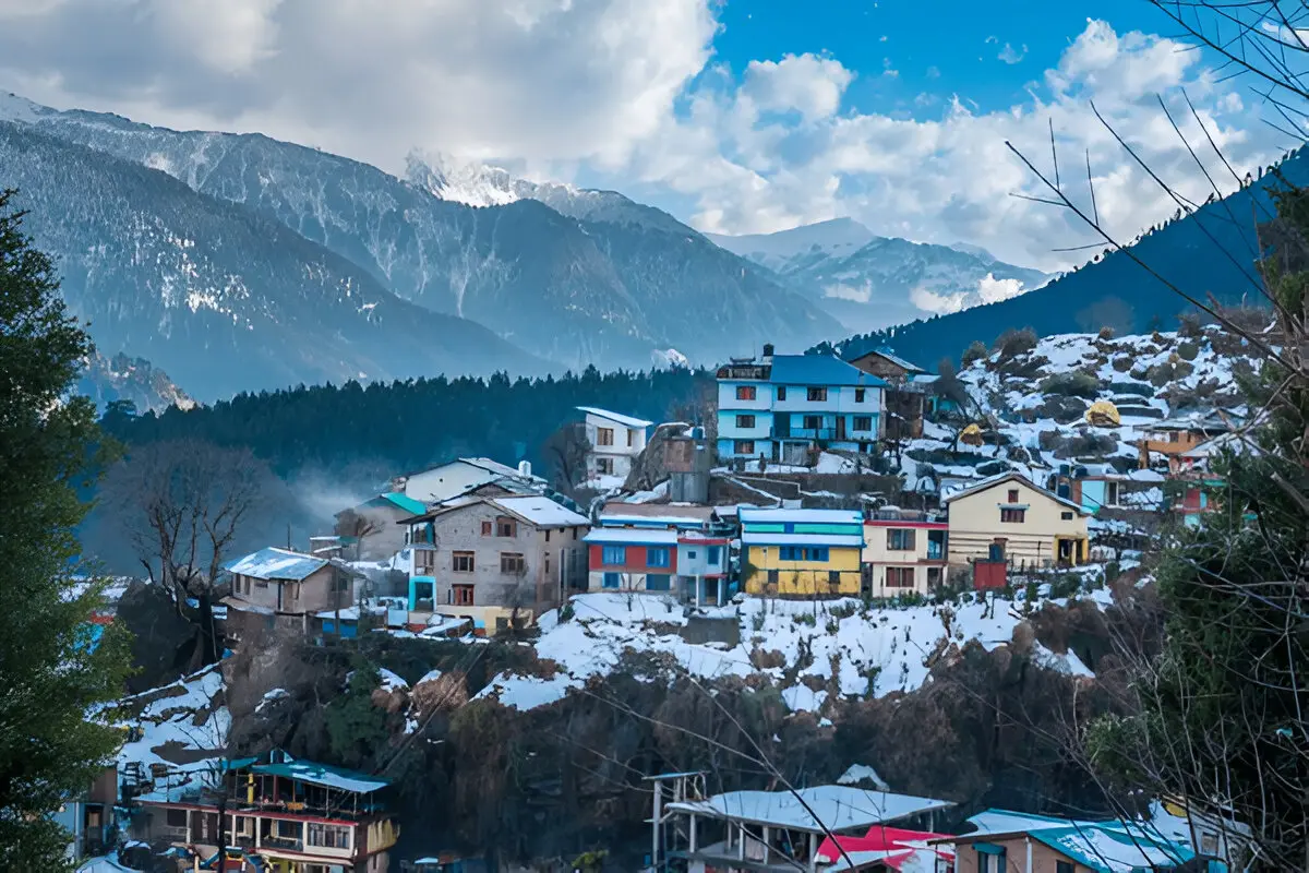 manali group